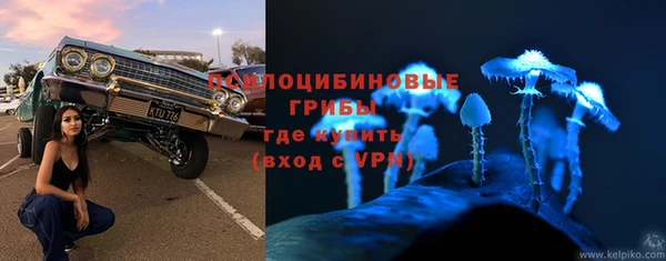 амф Магас