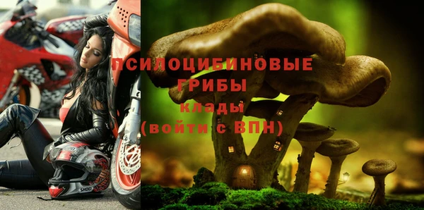 ALPHA PVP Магадан