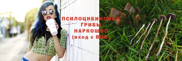 амф Магас