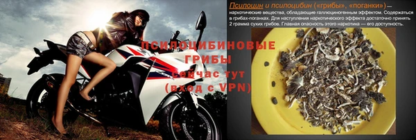 амф Магас