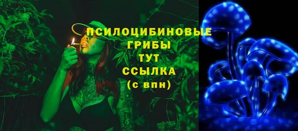 амф Магас