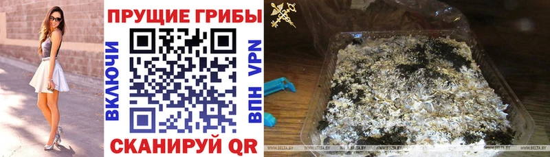 как найти закладки  Сычёвка  Галлюциногенные грибы Magic Shrooms 