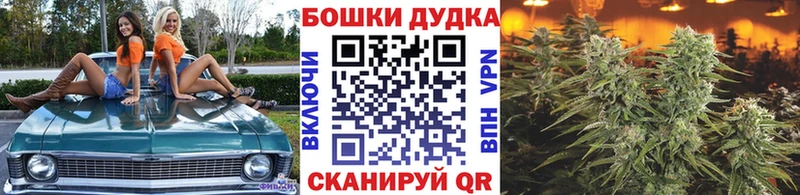 blacksprut Сычёвка Конопля марихуана